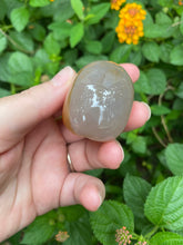 Load image into Gallery viewer, Carnelian Agate Skull With Druzy