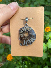 Load image into Gallery viewer, Sterling Silver Ammonite Fossil Pendant