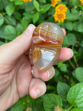 Load image into Gallery viewer, Carnelian Agate Skull With Druzy