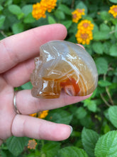 Load image into Gallery viewer, Carnelian Agate Skull With Druzy
