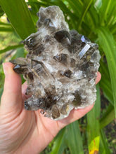Load image into Gallery viewer, Smoky Quartz Cluster