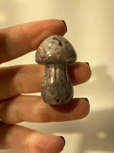 Load image into Gallery viewer, Ocean Jasper Mushroom