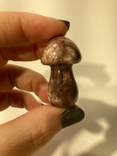 Load image into Gallery viewer, Ocean Jasper Mushroom
