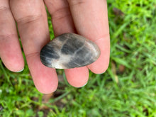 Load image into Gallery viewer, Red Jasper (Chestnut Jasper) Tumbles
